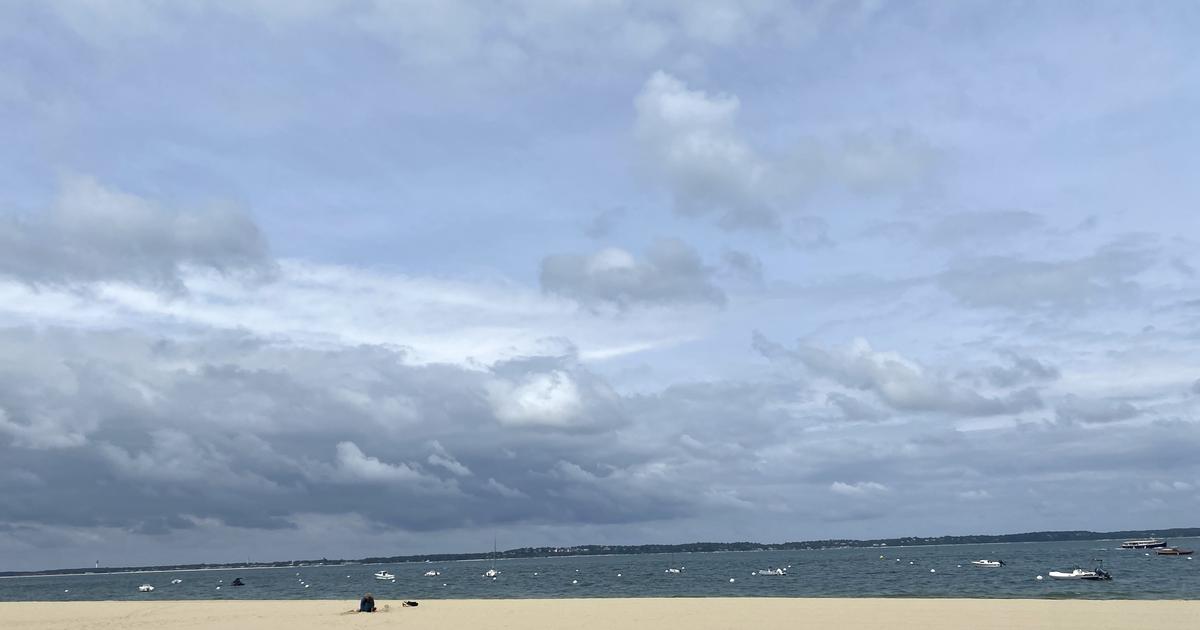 Bassin d'arcachon : les arrêtés autorisant le rejet exceptionnel d'eaux usées suspendus par la justice