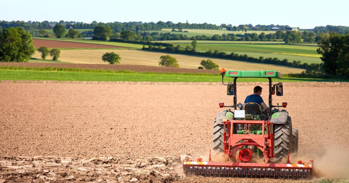 Le label Agriculture biologique fête ses 40 ans sur fond de polémiques