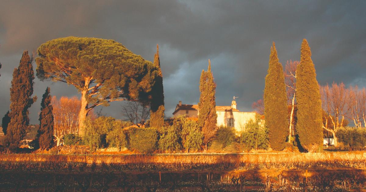 «Les Américains ont appris à positionner Bandol sur une carte» : la folle aventure du domaine Tempier aux États-Unis