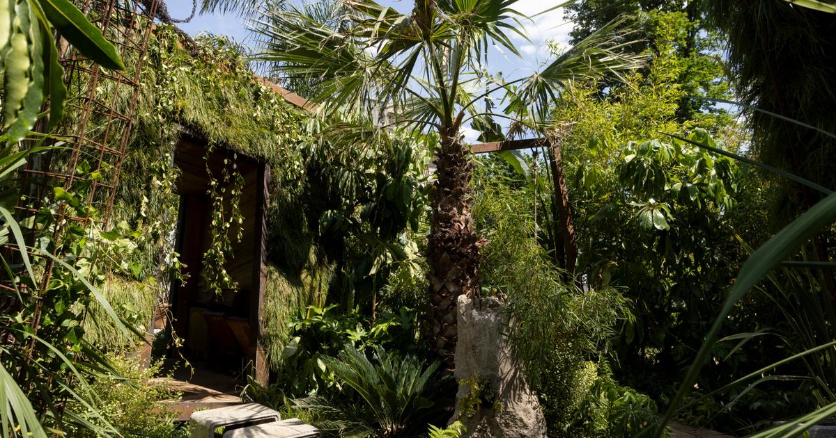 Salon jardins, jardin à la villa windsor : une bulle d’exotisme en plein paris