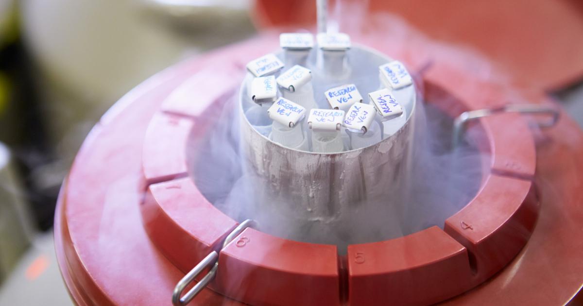 Comment un donneur de sperme a transmis un gène prédisposant au cancer à des dizaines...