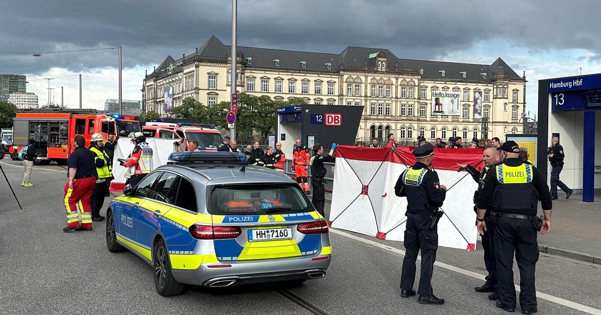 Allemagne : au moins 18 blessés dans une attaque au couteau à la gare de Hambourg, une femme de...