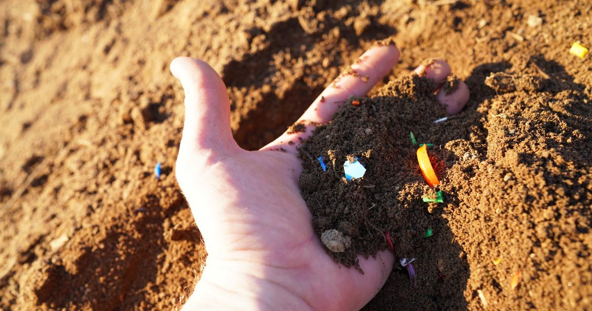 «Un danger pour la santé des animaux et des plantes» : les sols agricoles contaminés par les microplastiques
