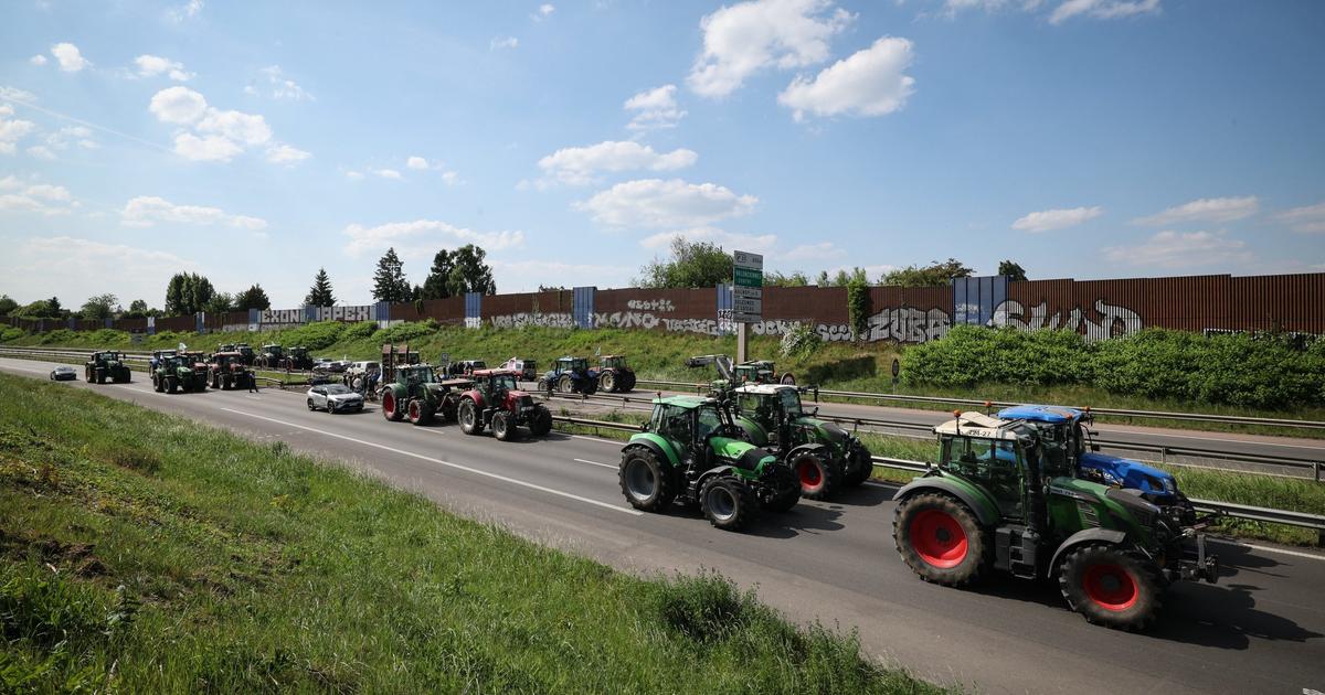 «on essaye de garder la tête hors de l’eau»: pourquoi les agriculteurs ont décidé de mettre la pression sur les députés
