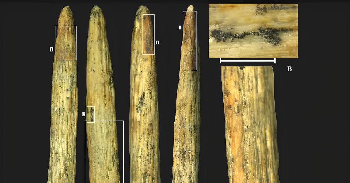 Un fragment d’arme de chasse démontre l’inventivité des néandertaliens