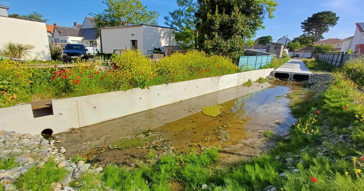 La baule : près d’un bassin de rétention, des habitants malades s’interrogent sur l’origine de leur pathologie