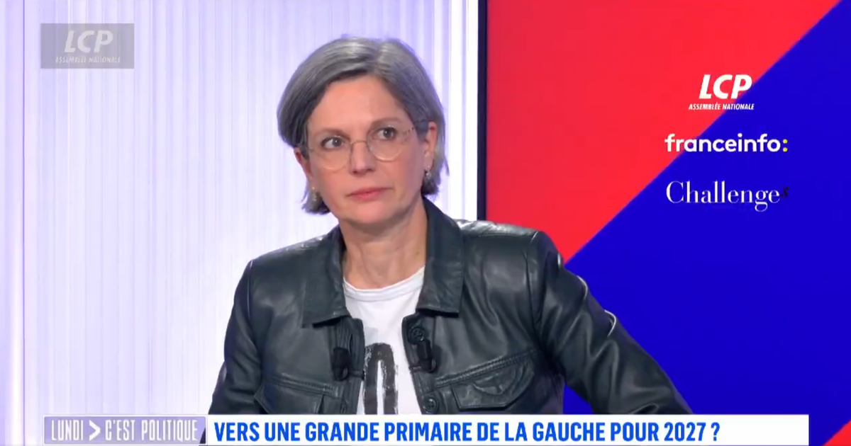 Sandrine Rousseau: Left Primary Candidacy Possible?
