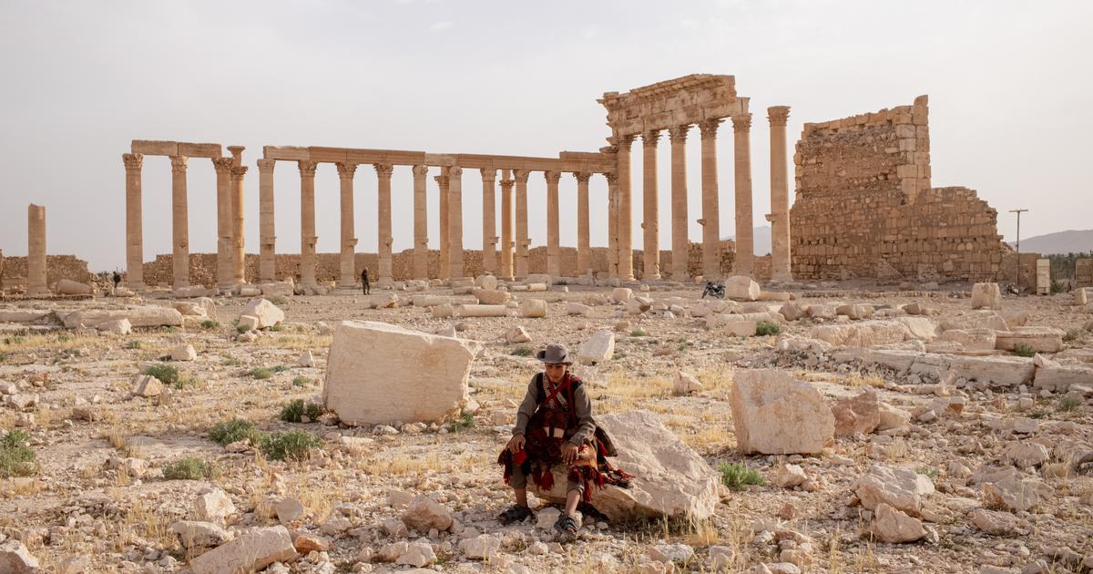 « Elle ne vit que grâce à son oasis et au tourisme » : en Syrie, le destin de Palmyre suspendu à la reprise de son agriculture