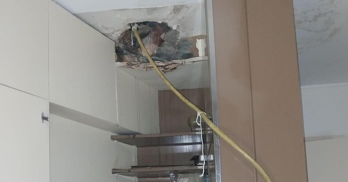 «je n’en peux plus, j’en suis à huit sinistres en deux ans» : quelles solutions face au cauchemar des dégâts des eaux en copropriété?