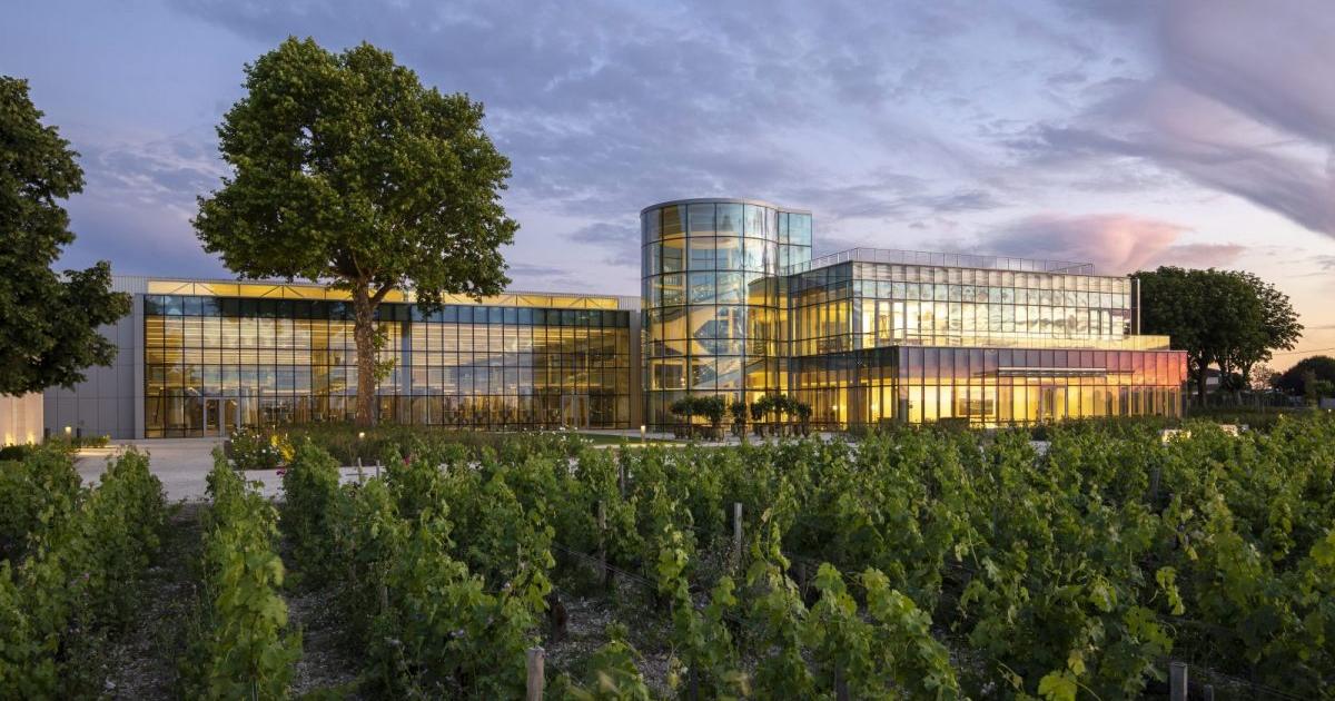 Bordeaux en primeur : les 10 nouveaux chais qui ont sauvé le millésime 2024
