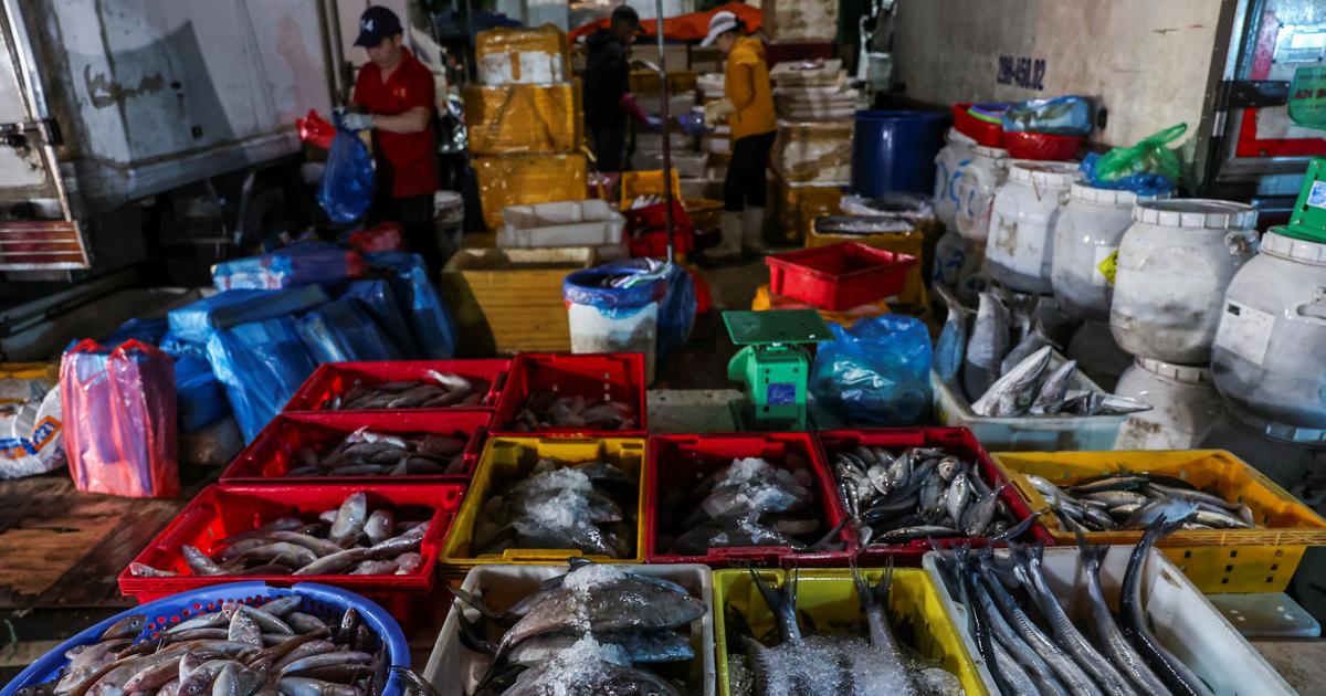 Pékin et tokyo proches d'une reprise du commerce de produits marins interdits après fukushima