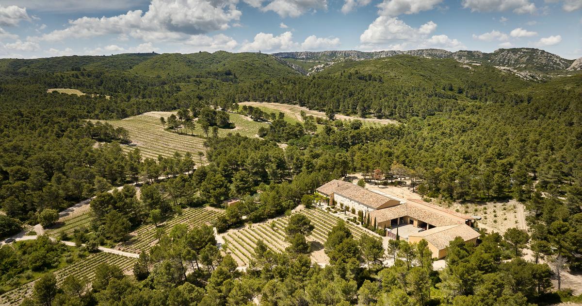 Dans les Bouches-du-Rhône, une abbaye convertie à la viticulture par un puissant homme d’affaires italien