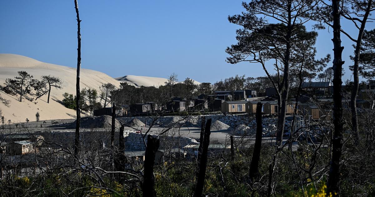 Dune du pilat : entre tourisme de masse et cicatrices des incendies, l’équilibre introuvable?