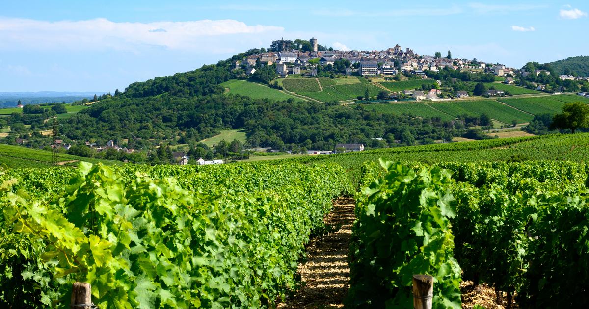 À Sancerre, les vins réussis de la famille Oddo