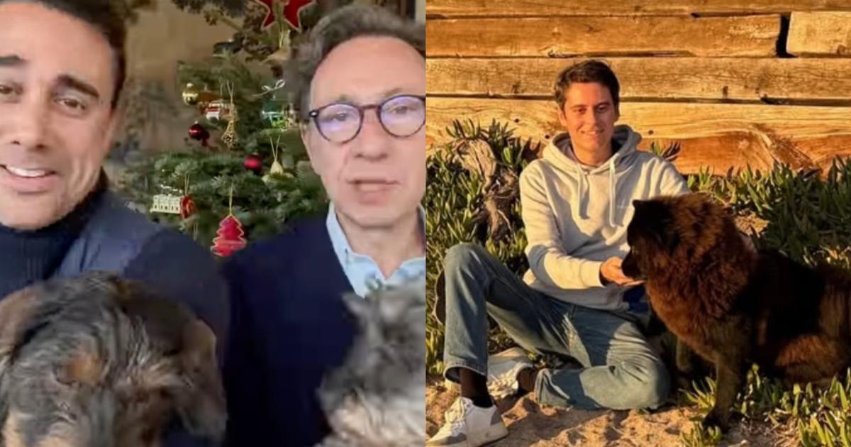 Célébrités et leurs compagnons à quatre pattes : Une passion dévorante !