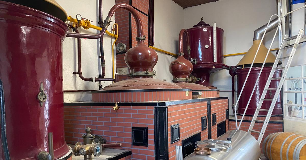 Pales d’éoliennes, oliviers, whisky : face à la pire crise de son histoire, la filière cognac se réinvente