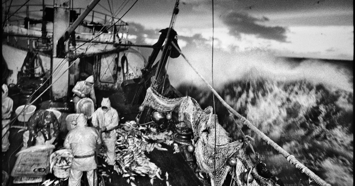 «la mer est une sorte de monastère»: rencontre avec le photographe jean gaumy