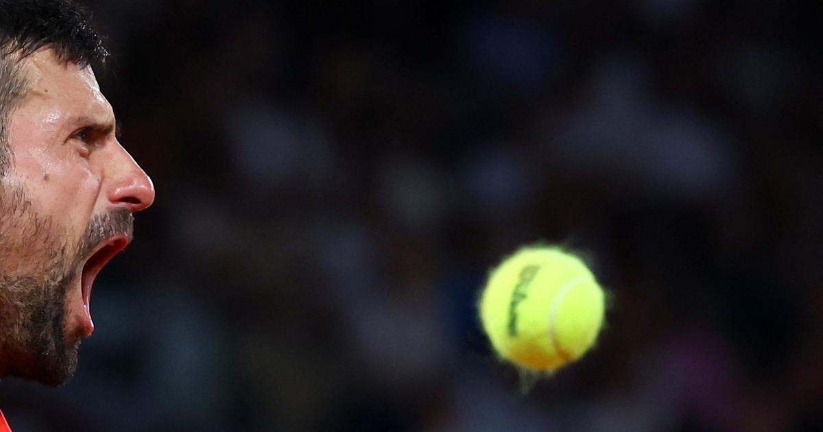 Roland-garros : novak djokovic, en pensant à la suite