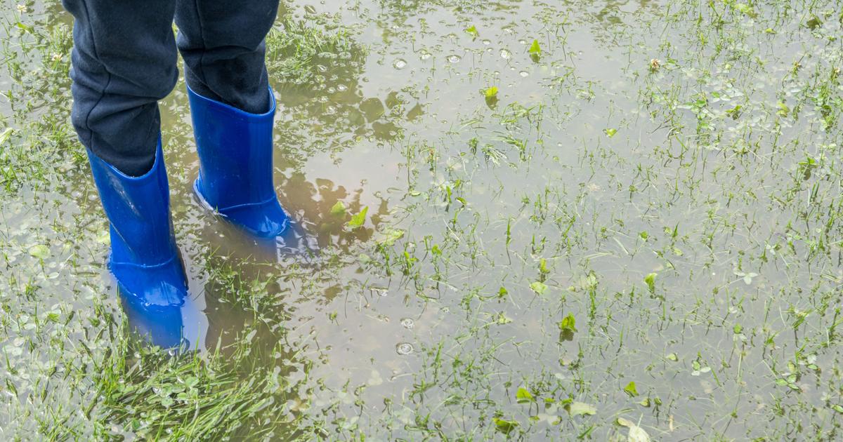 La météo du 1er juin : forts orages au sud, baisse des températures au nord