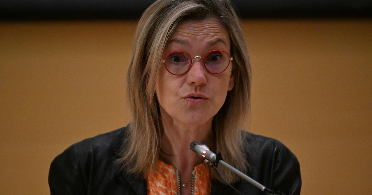 Zfe : la ministre de la transition écologique déplore le «cynisme» et la «démagogie» des députés qui ont voté la suppression