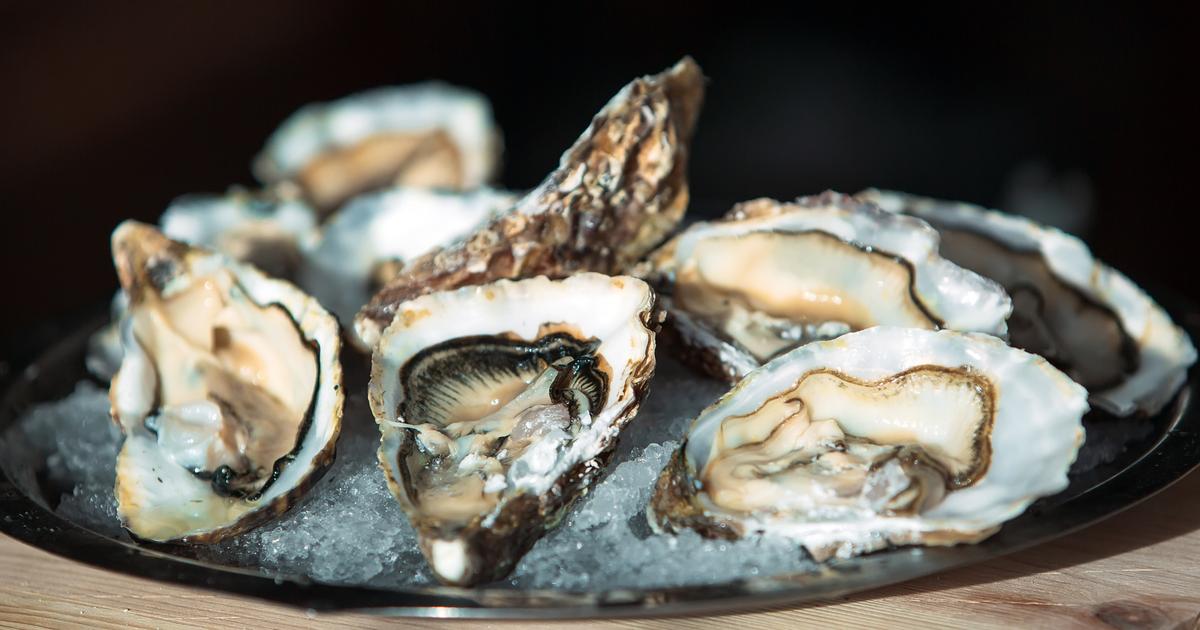 En occitanie, des coquilles d’huître et des huiles végétales pour façonner les routes