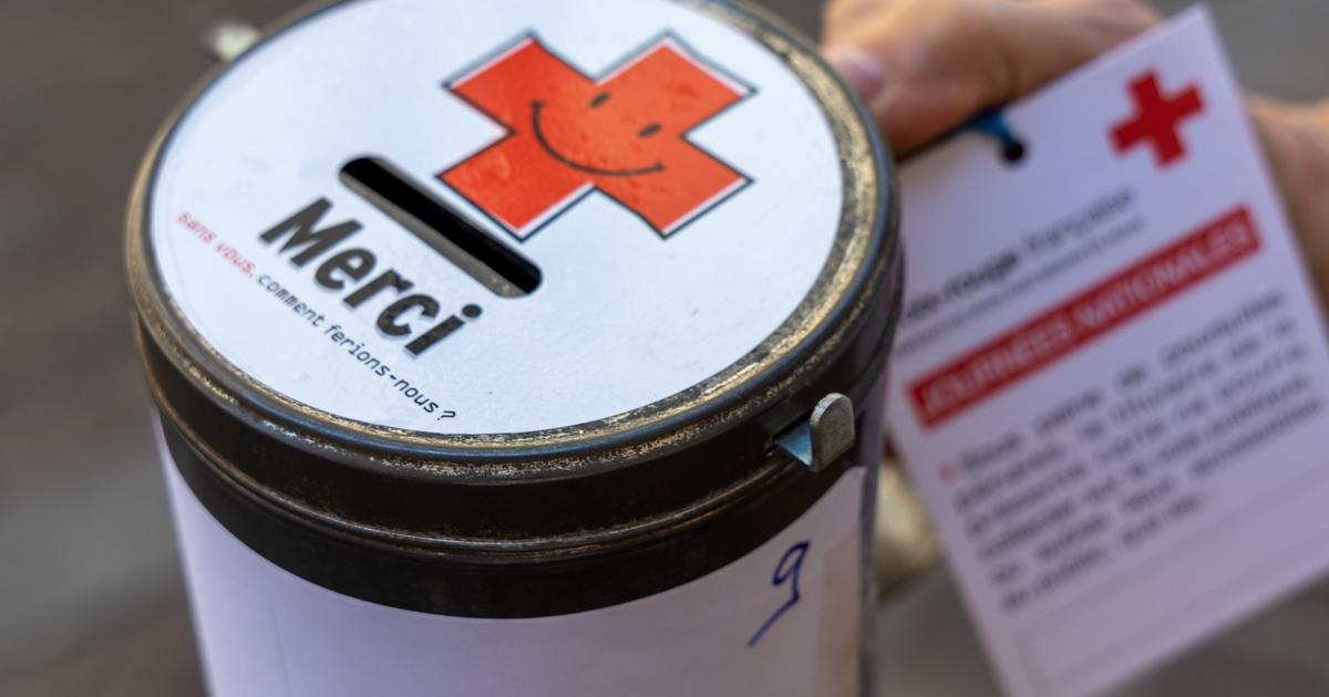 «ça nous alerte» : l’année 2024 enregistre la plus faible progression des dons depuis 20 ans, révèle un baromètre