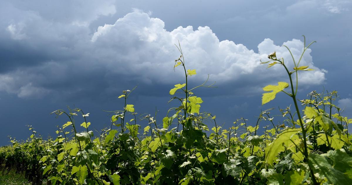 Météo du lundi 2 juin : orages et éclaircies sous un ciel variable
