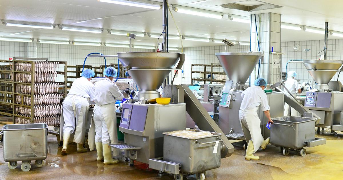 L’abattoir de meaux, fermé pour maltraitance animale, va pouvoir rouvrir «sous conditions strictes»