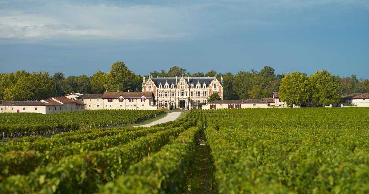 Et si Margaux était l’appellation de toutes les réussites d’un millésime 2024 contrarié à Bordeaux ? Notre top 10
