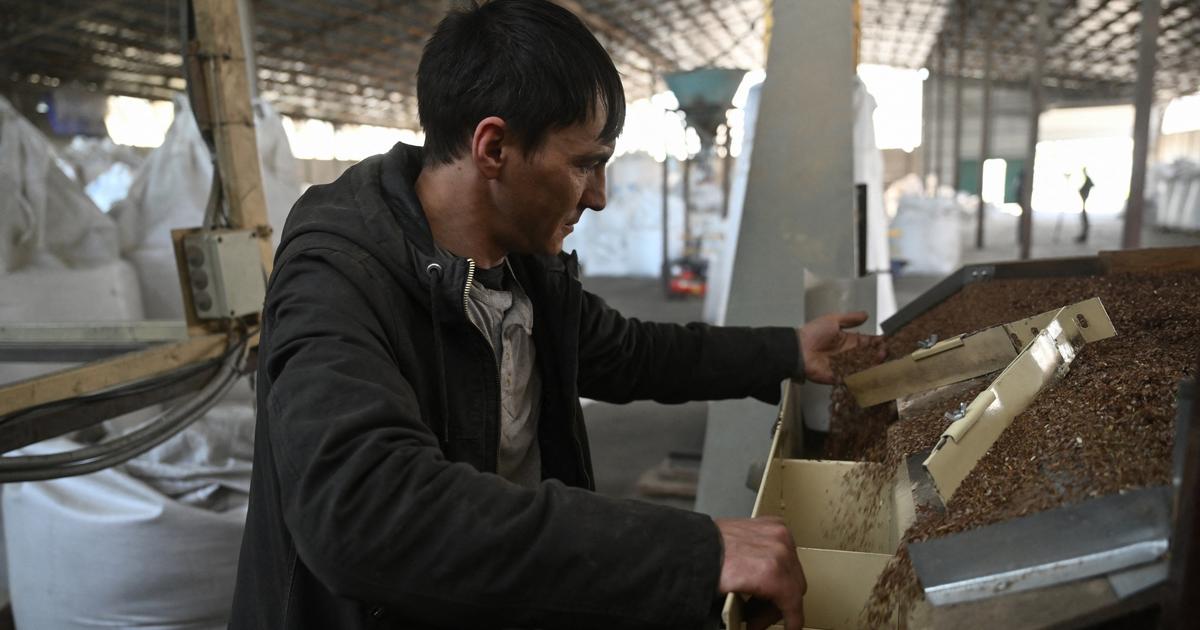 «Plus de trois milliards d’euros de perte»: l’Europe réintroduit des droits de douane sur les produits agricoles ukrainiens