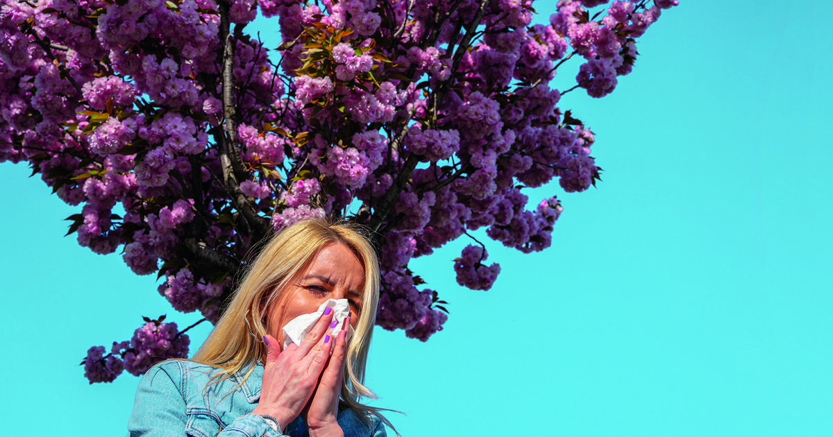 Allergies : Comment Soulager les Symptômes et Prévenir les Crises au Quotidien