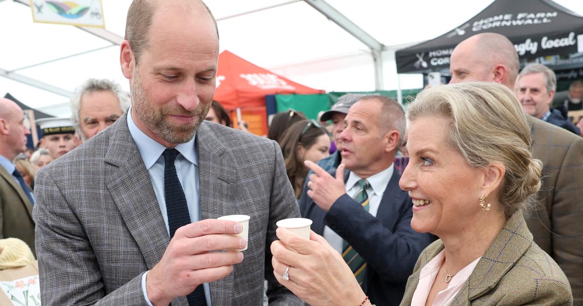 Shots de gin et fous rires : le prince William en déplacement avec sa tante Sophie