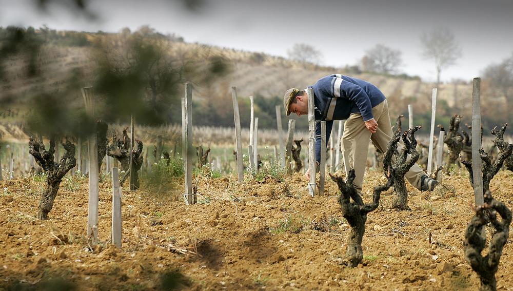 Disparition d’Emmanuel Reynaud, vigneron légendaire de Châteauneuf-du-Pape