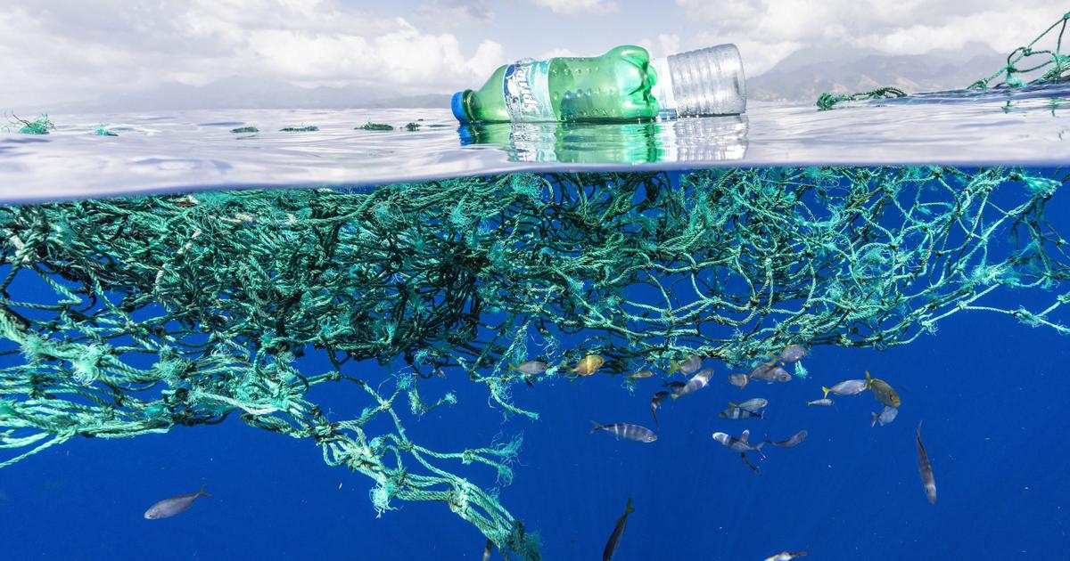 プラスチック、採掘抽出、音質汚染…海の上部では、国が公海に有利に組み合わされています