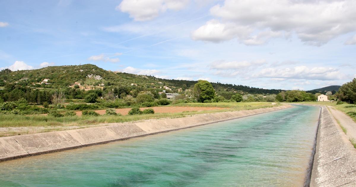 «Le manque d’eau est un problème mais le “trop d’eau” altère également la qualité» : le canal de Provence, bienfaiteur de la biodiversité pour la vigne