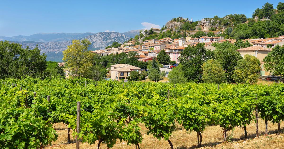 Dans le Var, une attention au vivant particulièrement développée grâce à des diagnostics environnementaux pour les domaines viticoles
