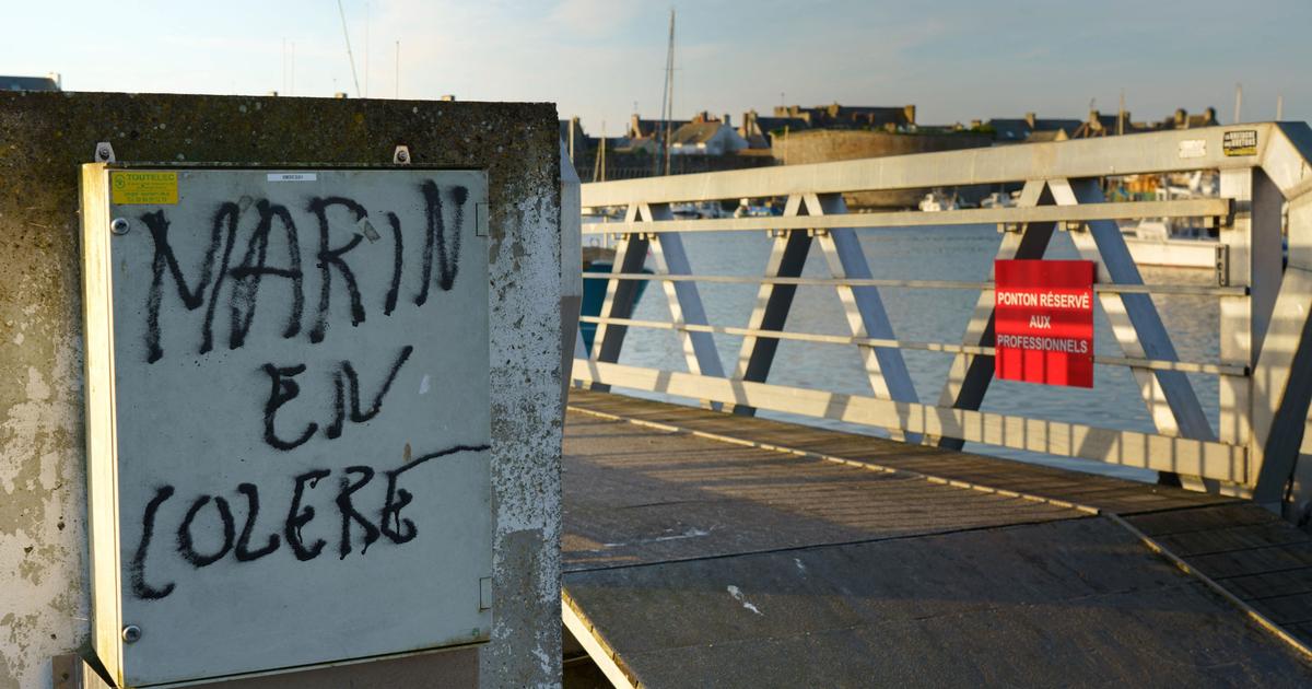 Éoliennes, agrivoltaïque… Convergence des luttes chez les marins-pêcheurs et les agriculteurs