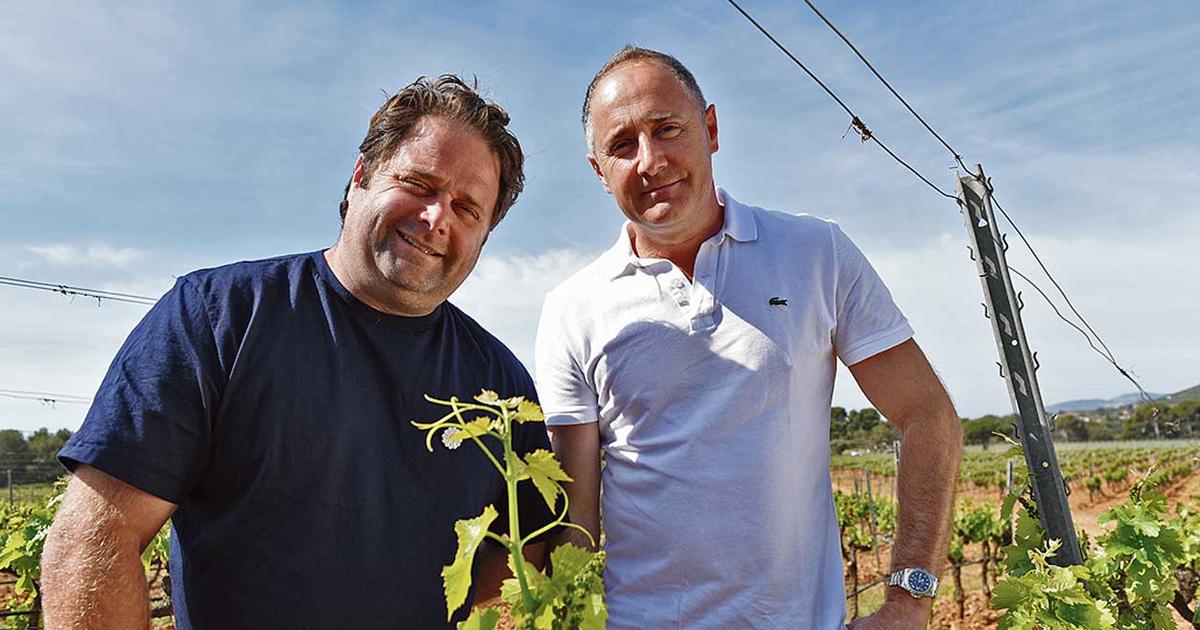 «Nos vignes sont moins attaquées» : comment les loups du château Sainte-Marguerite sont devenus de sérieux alliés du vignoble