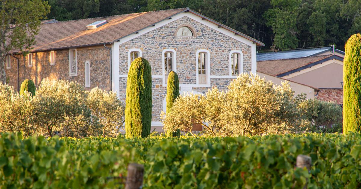 Au château de l’Escarelle, vigne bio et biodiversité cohabitent grâce à des espèces rares de papillons
