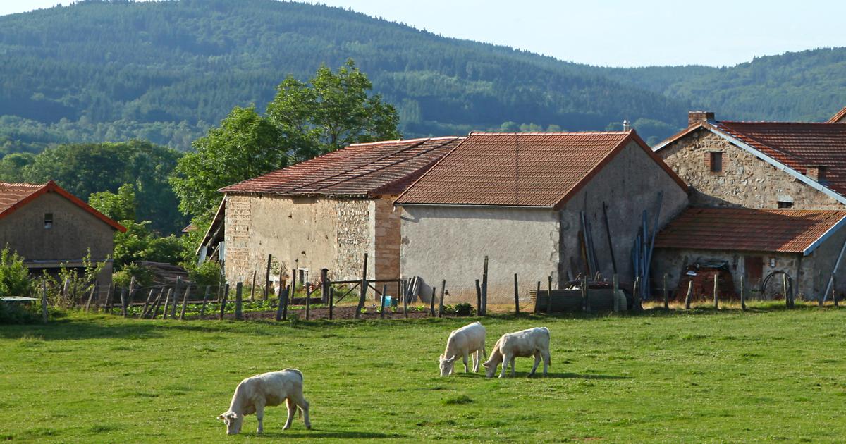 À l’Assemblée nationale, passe d’armes autour d’un rapport sur le bio