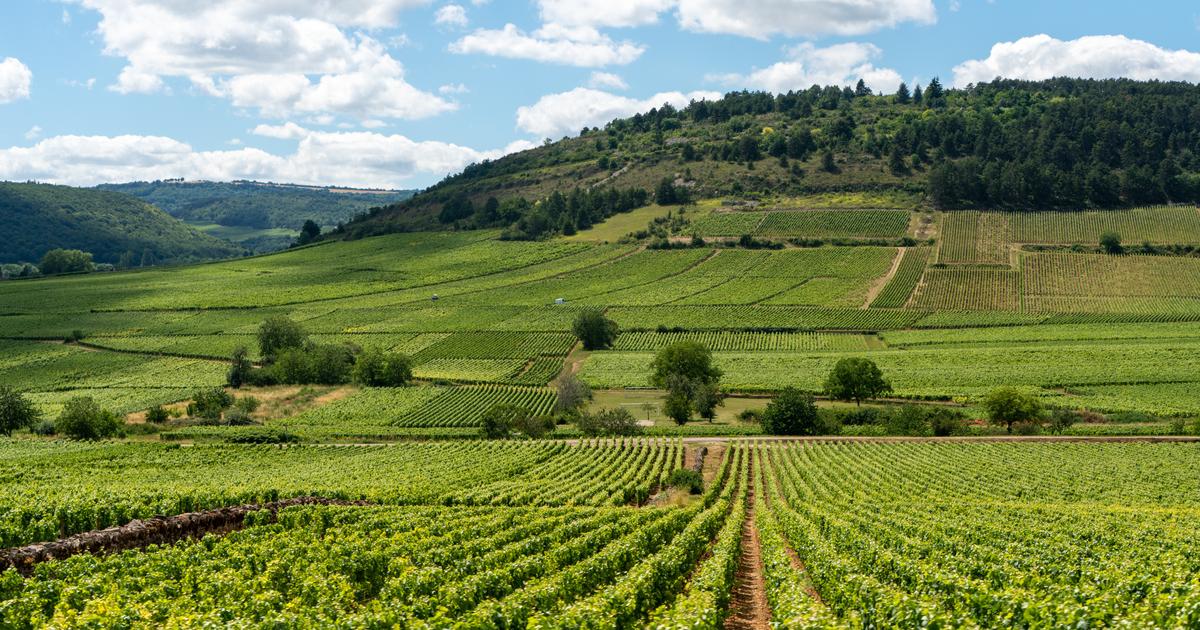 Découvrez la Bourgogne lors d’un voyage œnologique organisé par Le Figaro