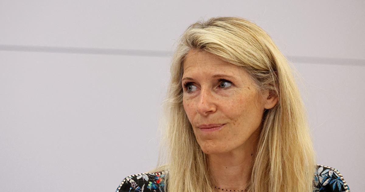 Senate & Winter Olympics: Progress Update