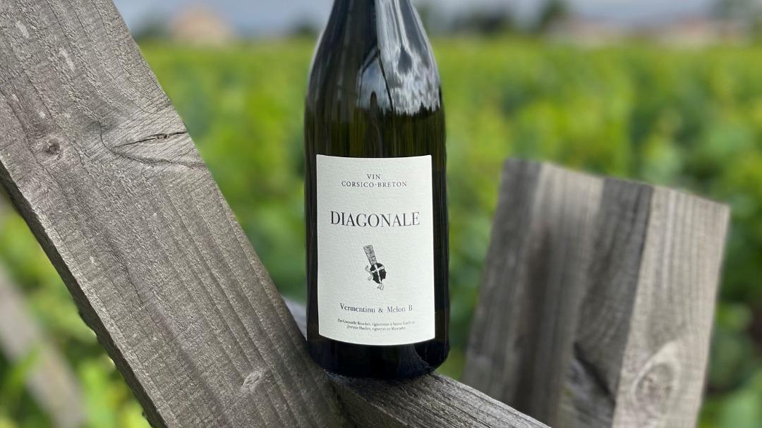 «Et si on essayait de mélanger nos deux cépages ?» : deux vignerons unissent Muscadet et Corse pour créer un vin corsico-breton