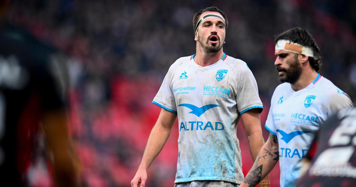 Florian Verhaeghe: Content Writer in Montpellier