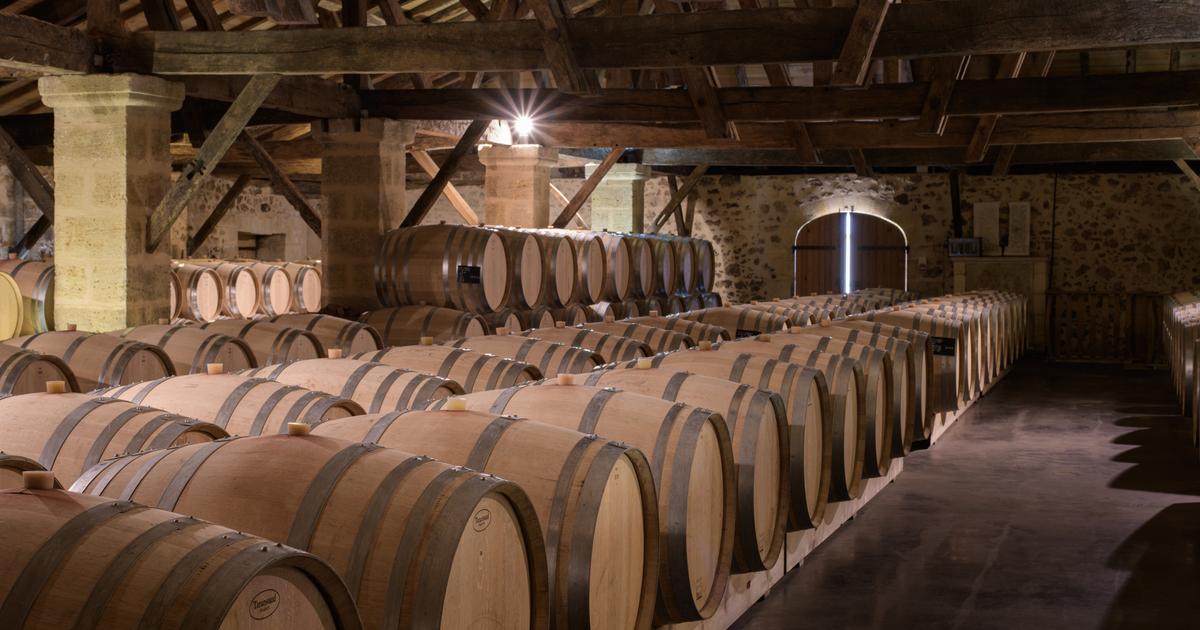 «Une pépite pour les amateurs» : découvrez la première vente très privée du Figaro Vin