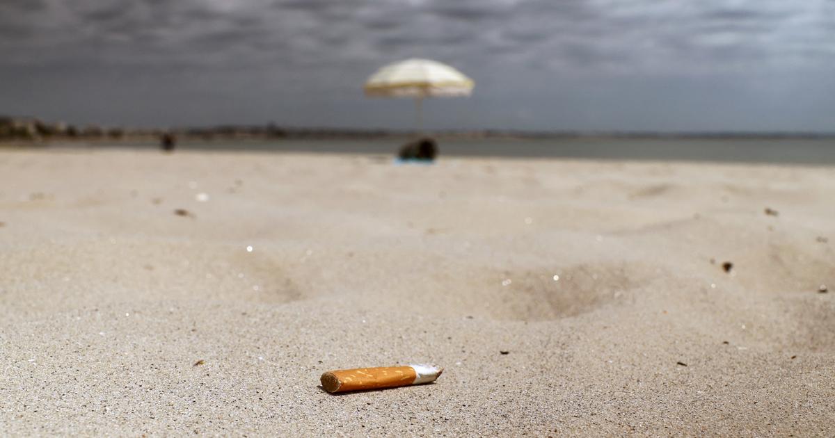 peut on fumer la cigarette électronique sur la plage Législation sur le Vapotage à Maurice : Peut-on Apporter des Cigarettes  Électroniques en tant que Voyageur ? main image 0