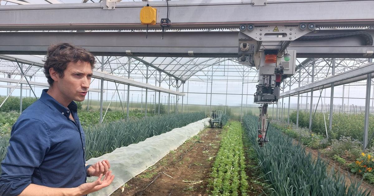 NeoFarm invente des fermes bio et mécanisées à haut rendement