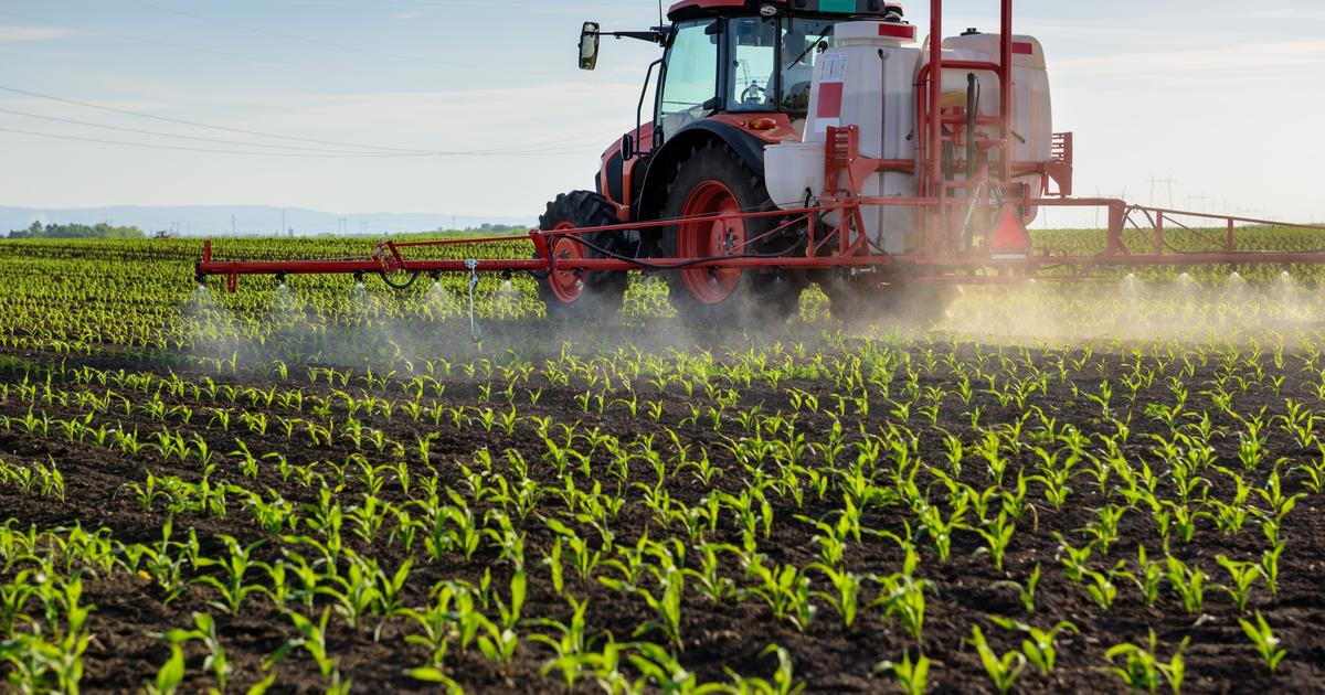 Pesticides : tractations décisives au Parlement ce lundi pour la loi Duplomb