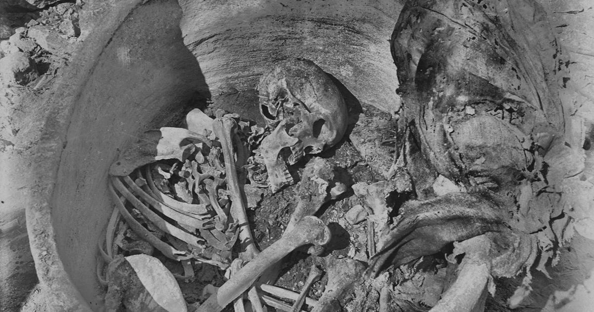 5000年前に初めて分析されたエジプトの生活のDNA