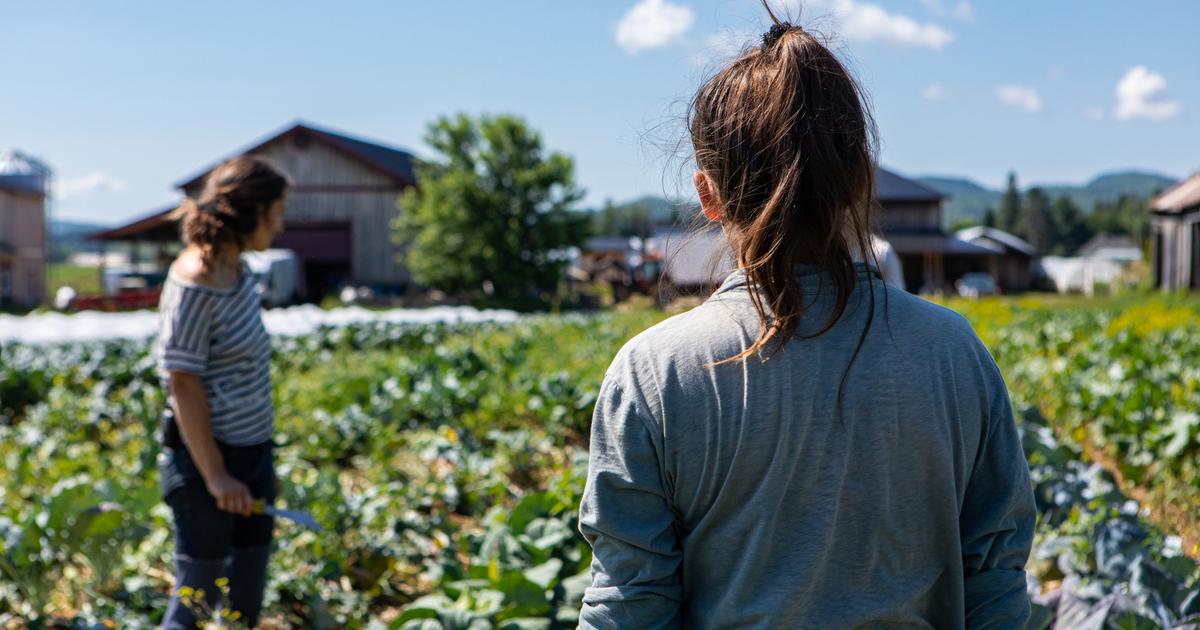 Agriculture biologique : une partie des fonds réorientée, la FNAB dénonce un «hold-up» sur leurs aides